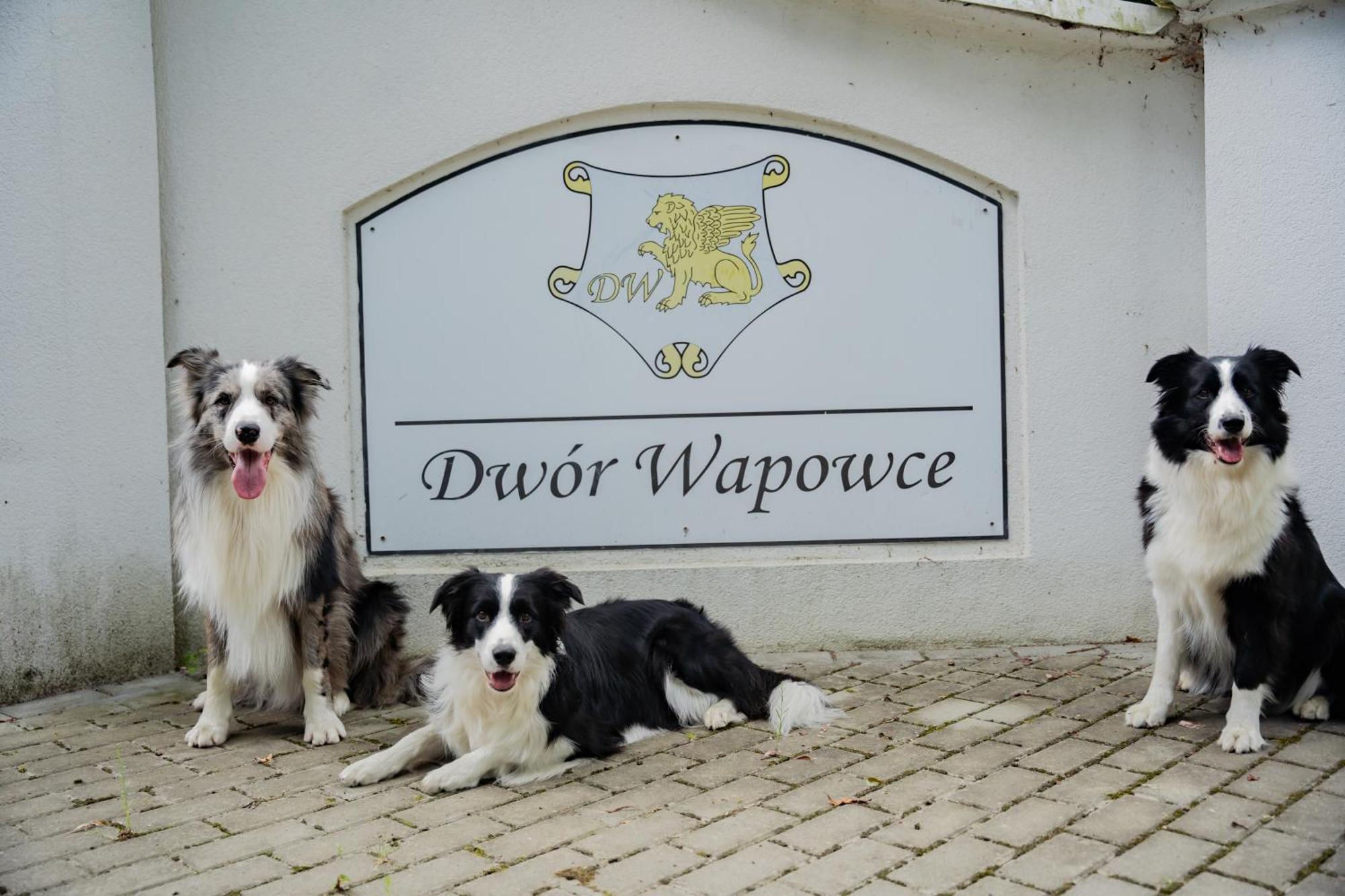 Dwor Wapowce Hotell Exteriör bild